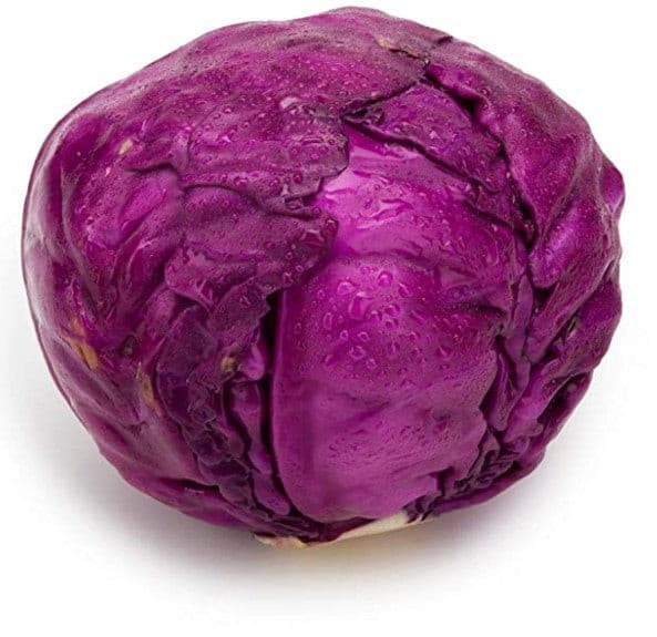 CABBAGE RED EACH (Kāpeti Whero) - Vegetables - Farmers Box.