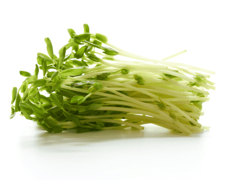 SPROUTS ALFALFA PP 120G - F&V - Farmers Box.