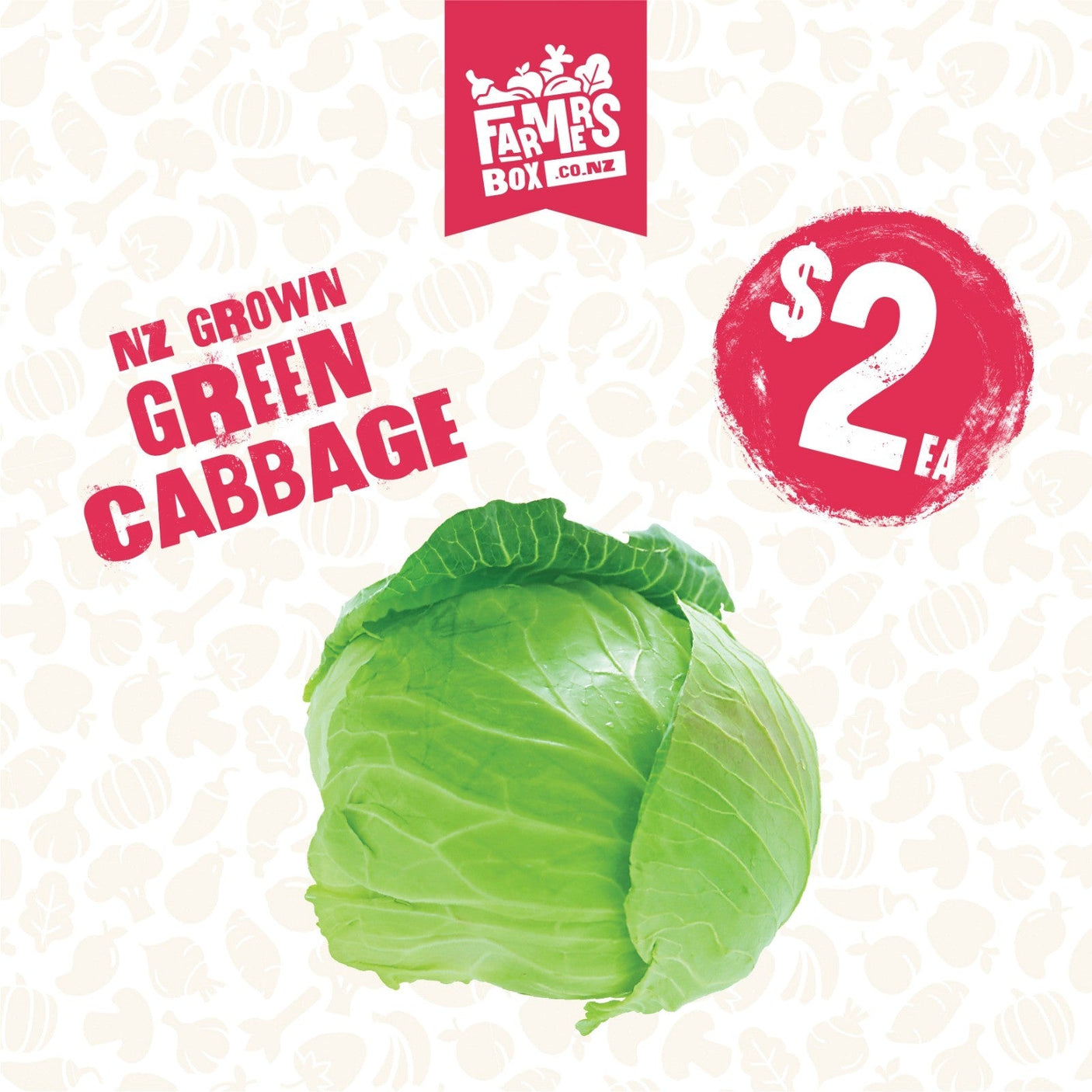 CABBAGE GREEN EACH (Kapeti)