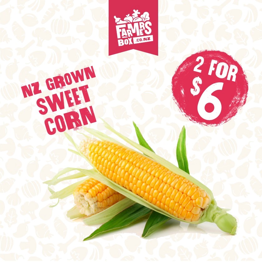 SWEET CORN FRESH EACH(kānga reka hou)