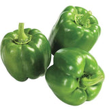 CAPSICUM GREEN EACH (Kaupapa Kakari) - Vegetables -    Farmers Box.