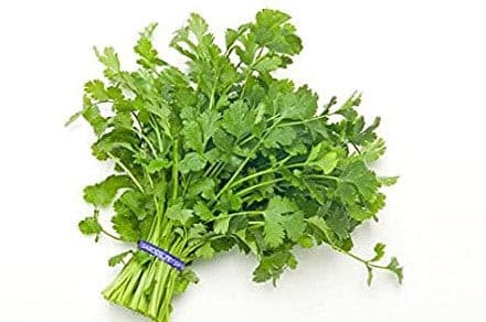 CORIANDER PP BAG (Korianare) - Vegetables -    Farmers Box.