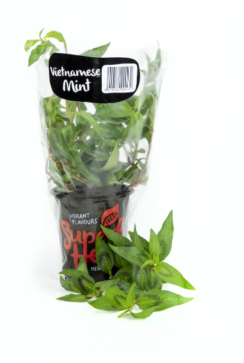 HERBS VIETNAMESE MINT CUT 15GM (miniti)