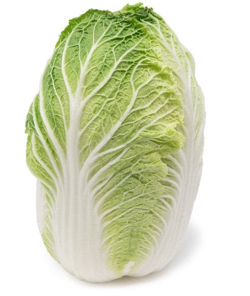 CABBAGE CHINESE WONG BOK EACH - Vegetables -    Farmers Box.