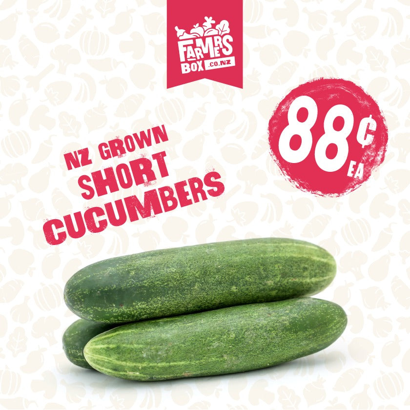 CUCUMBER SHORT EACH (Poto Kukama)