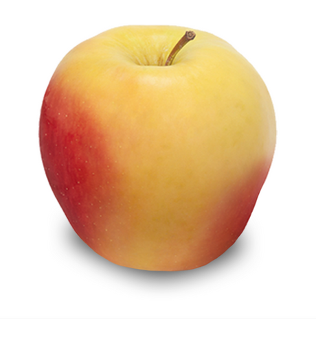 APPLES AMBROSIA 1KG BAG (aporo ambrosia) - Farmers box