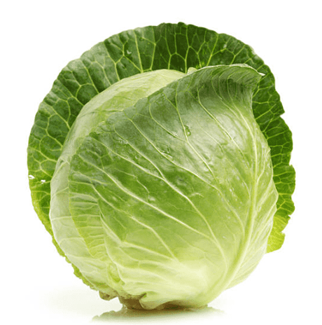 CABBAGE GREEN EACH (Kapeti) - Vegetables -    Farmers Box.