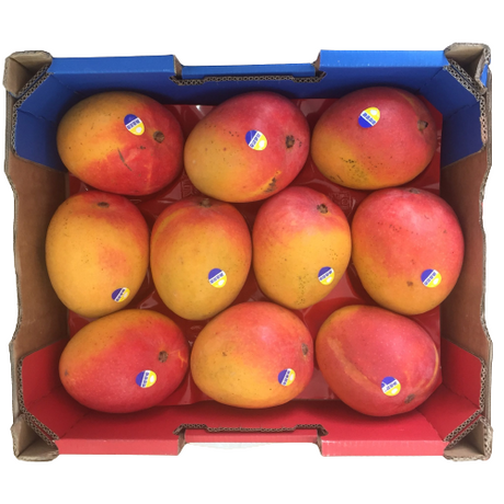 MANGO R2E2 BOX 10CT-14CT (Merengi Haumanu Honi)