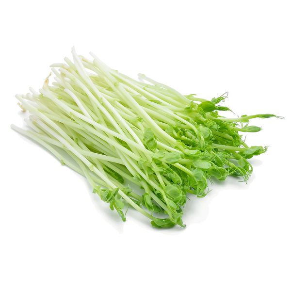SALAD SPROUTS SNOWPEA PP 100GM(huamata pihi hukarere)
